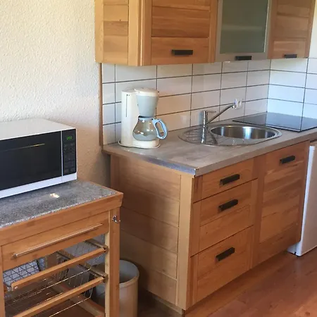 2 Pieces Sud-est Chamonix, Parking & Animaux Admis - Fr-1-517-54 Daire